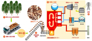 図3_20240717