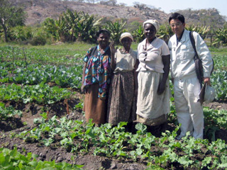 野菜畑の３人小町（ジンバブエ南部にて）
