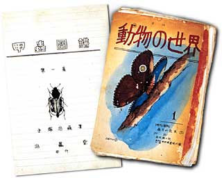 北中時代に書き残した昆虫に関するノート