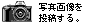 ʐ^摜𓊍e