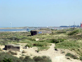 砂丘保全地区に放置されたトーチカ群。右後方は、大運河“IJ”をはさんでCorusの重工業コンビナート